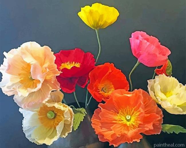 Poppies Painting By Numbers Kits