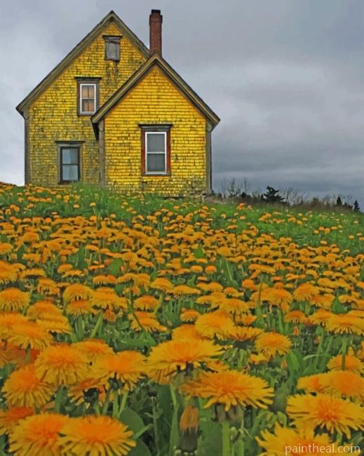 Yellow House Nova Scotia Painting By Numbers Kits