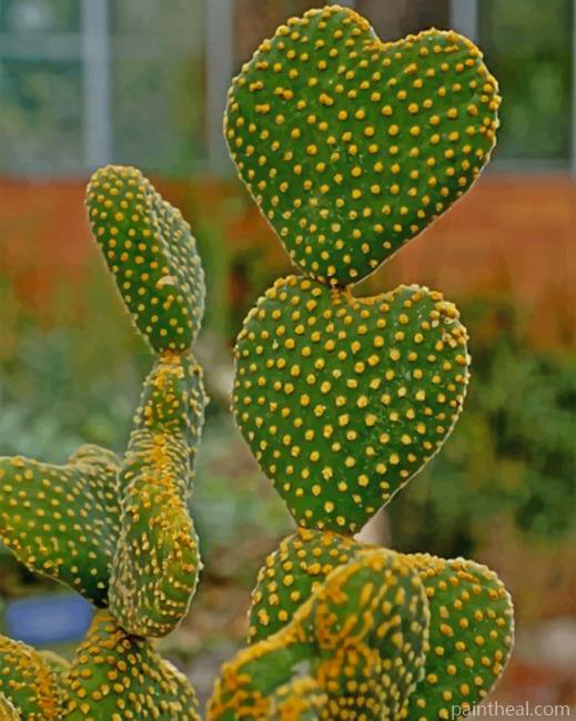 Cactus Heart Shape Painting By Numbers Kits