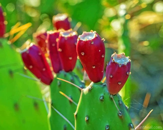 Red Cactus Fruit Painting By Numbers Kits