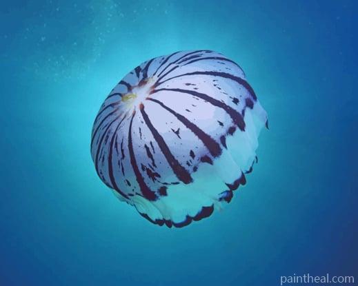 Purple Striped Jellyfish Painting By Numbers Kits