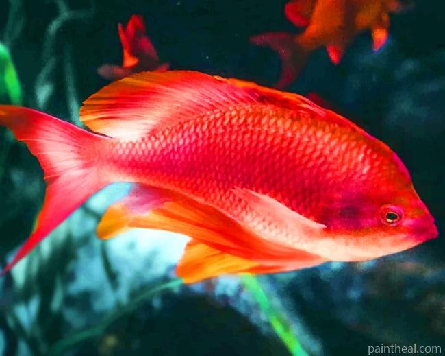 Fish In Aquarium Corals Painting By Numbers Kits