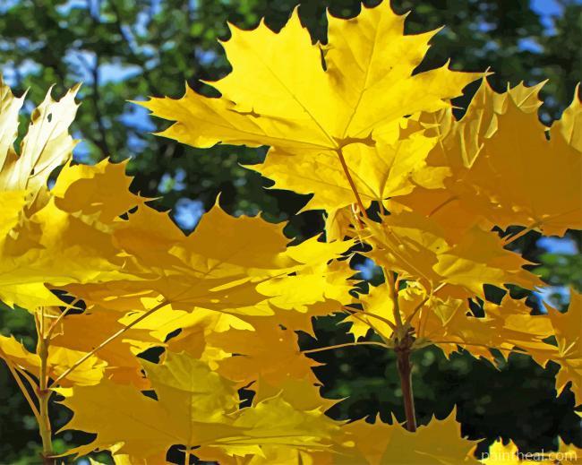 Aesthetic Golden Maple Painting By Numbers Kits