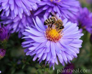 Flowers Bees – 5D Diamond Painting Painting By Numbers Kits
