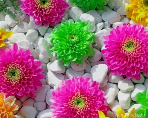 Colorful Flowers And Stones Painting By Numbers Kits