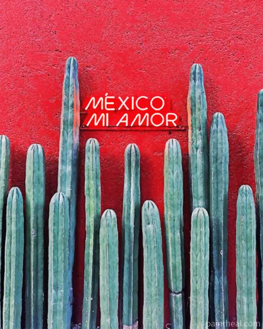 Mexico Mi Amor Painting By Numbers Kits