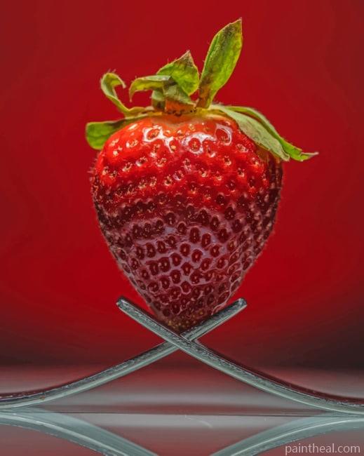 Red Strawberry Painting By Numbers Kits