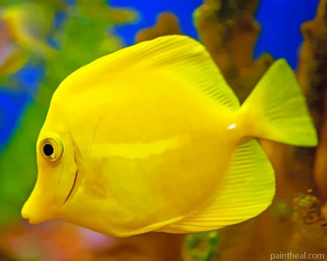 Yellow Tang Fish Painting By Numbers Kits