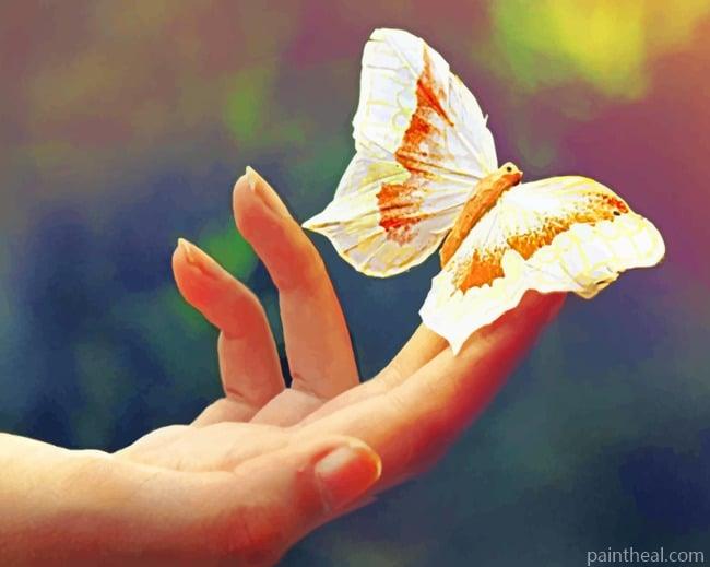 Finger Butterfly Painting By Numbers Kits