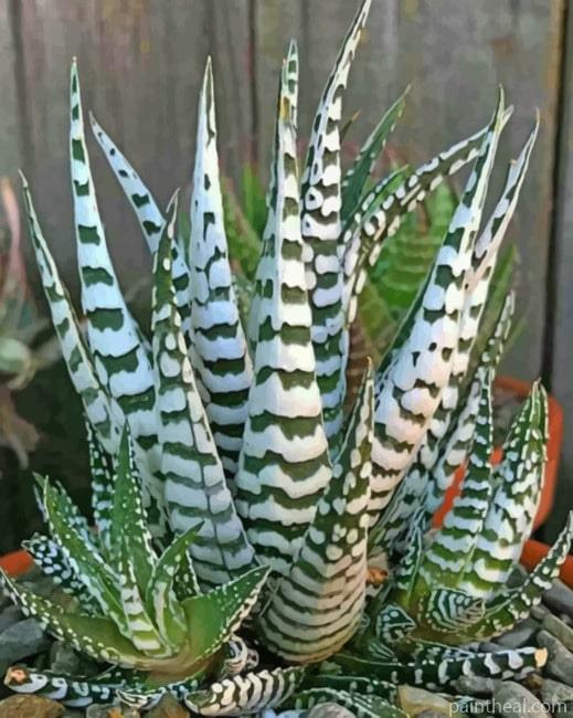 Agave Plant Painting By Numbers Kits