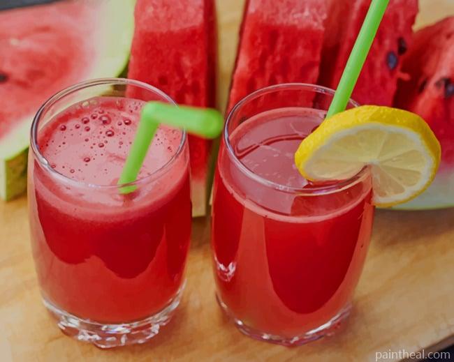 Water Melon Juice Painting By Numbers Kits