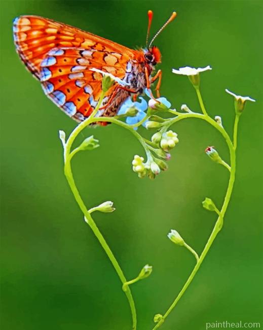 Butterfly On Heart Painting By Numbers Kits