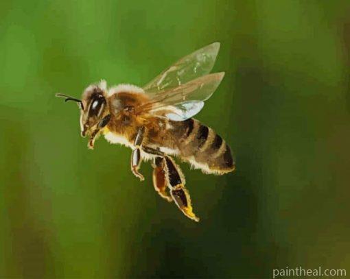 Cute Bee Flaying – 5D Diamond Painting Painting By Numbers Kits