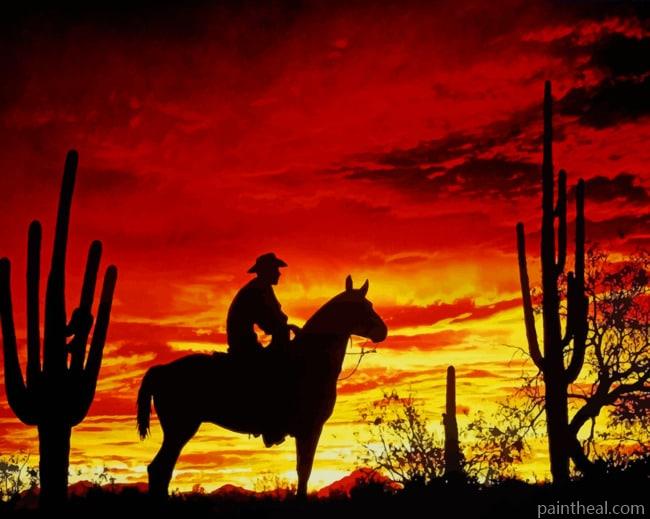 Cowboy Shodow In Sunset Painting By Numbers Kits