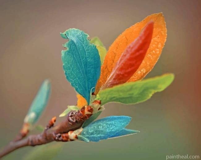 Colorful Tree Leaves Painting By Numbers Kits