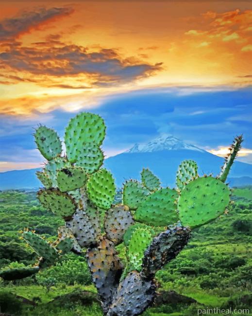 Mexican Cactus Painting By Numbers Kits
