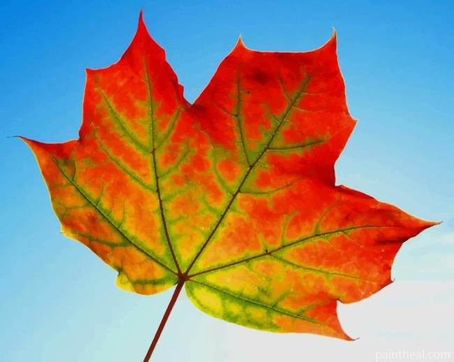 Maple Leaf Fall Painting By Numbers Kits