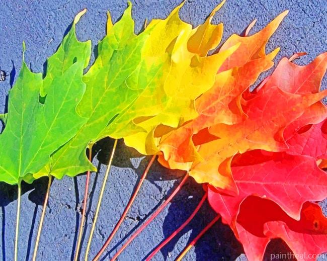 Spectrum Autumn Of Leaves Painting By Numbers Kits