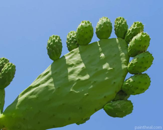 Prickly Pear Cactus Plants Painting By Numbers Kits