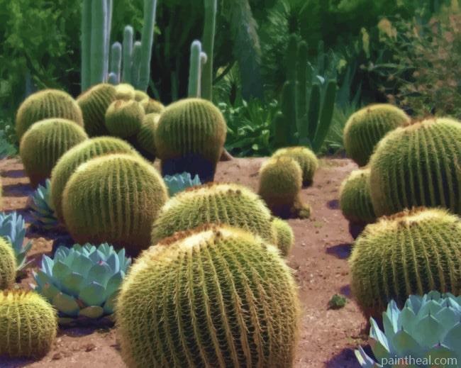 Green Cactus Painting By Numbers Kits