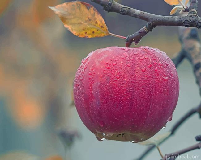 Apple Fruit Hanging On Tree Painting By Numbers Kits