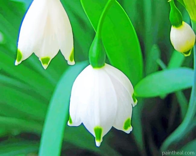 Snowdrops Plant Painting By Numbers Kits