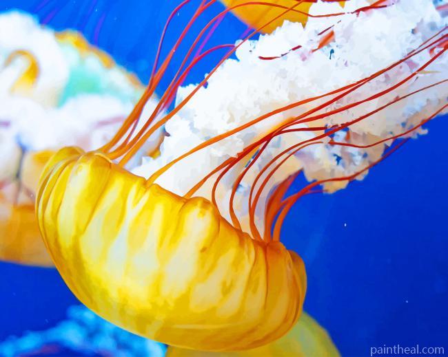 Swimming Jellyfish Painting By Numbers Kits