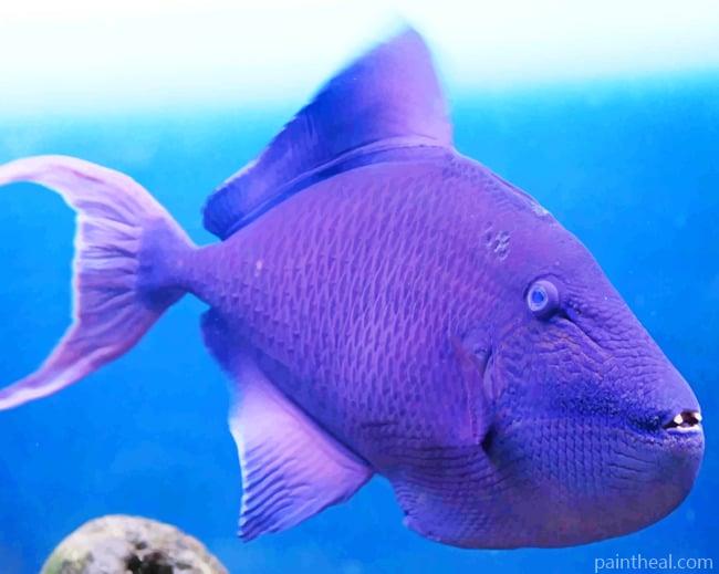 Purple Triggerfish Painting By Numbers Kits