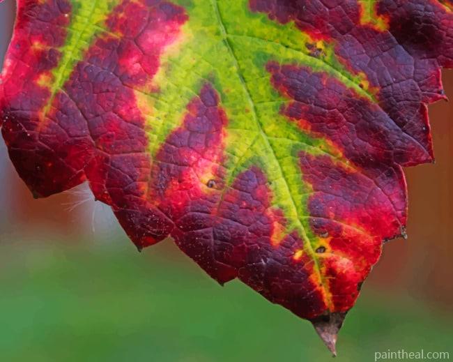 Purple And Green Leaf Painting By Numbers Kits