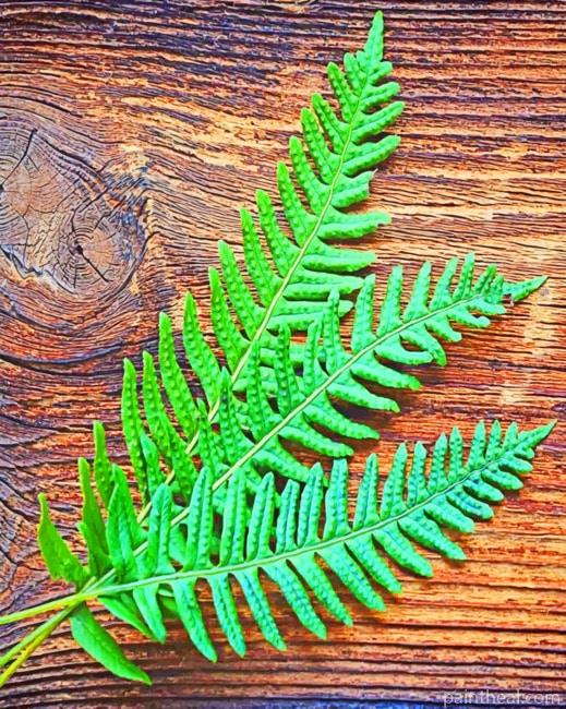 Fern Plant Leaves Painting By Numbers Kits