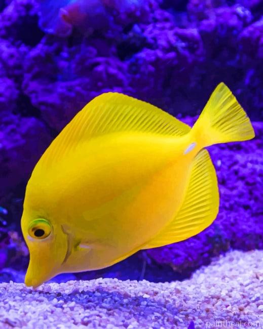 Yellow Koi fish Under Water Painting By Numbers Kits