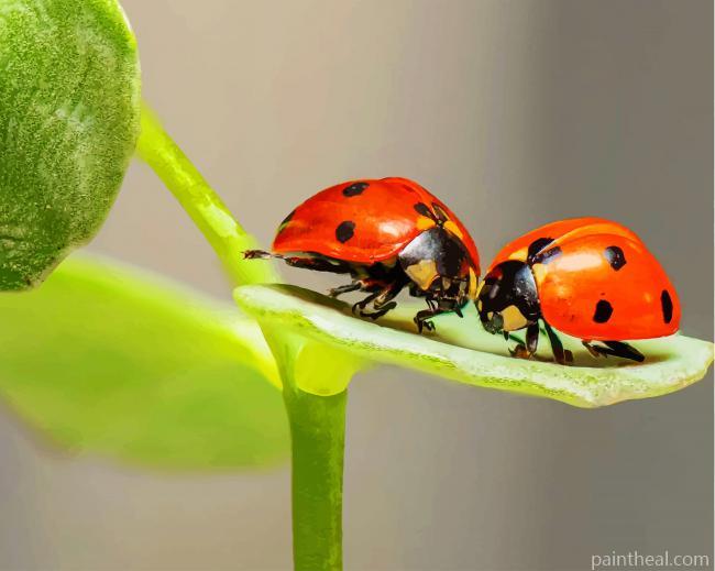 Ladybugs On Green Leaf Painting By Numbers Kits