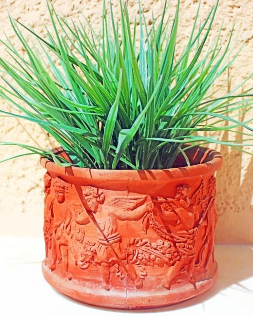 Fresh Green Plant Painting By Numbers Kits