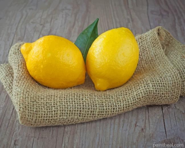 Two Yellow Lemons Painting By Numbers Kits