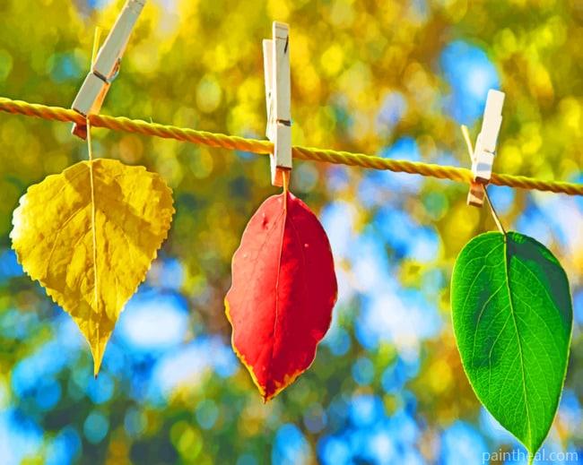 Leaves Plants Painting By Numbers Kits