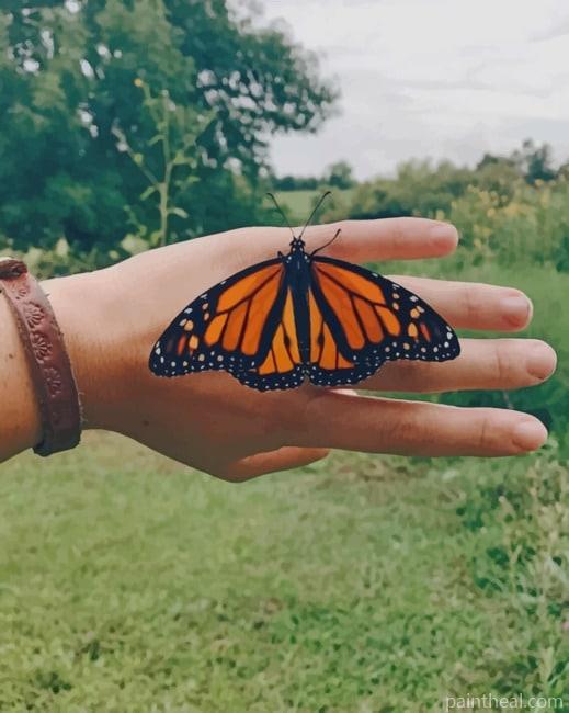 Monarch Butterfly On Hand Painting By Numbers Kits