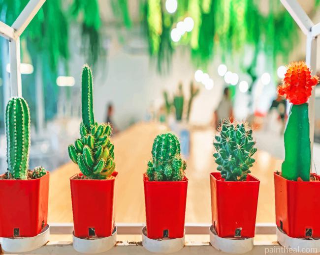 Cactus Plant Types In Buckets Painting By Numbers Kits