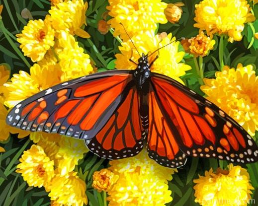 Monarch Checkered Butterfly Painting By Numbers Kits