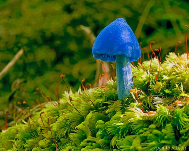 Blue Mushroom On Green Moss Painting By Numbers Kits
