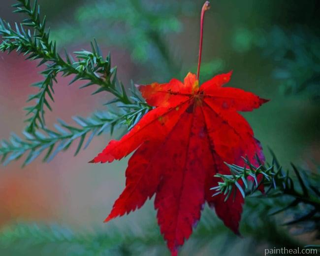 Fallen Red Leaf Painting By Numbers Kits