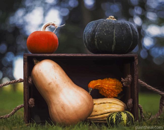 Gourds In Crate Painting By Numbers Kits
