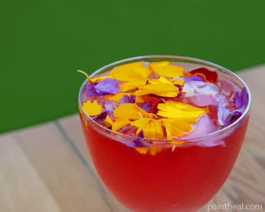 Floral Cocktail Painting By Numbers Kits
