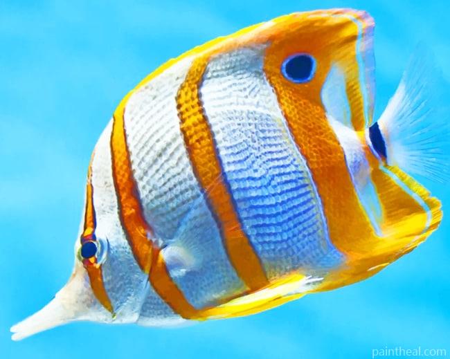 Copperband Butterflyfish Painting By Numbers Kits