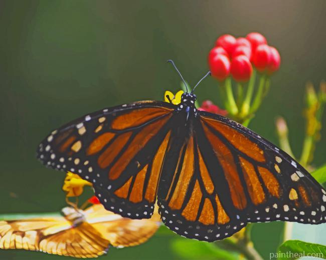 Yellow And Black Butterfly Painting By Numbers Kits