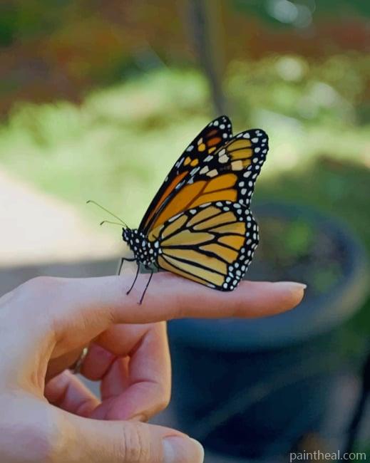 Butterfly On Finger Painting By Numbers Kits