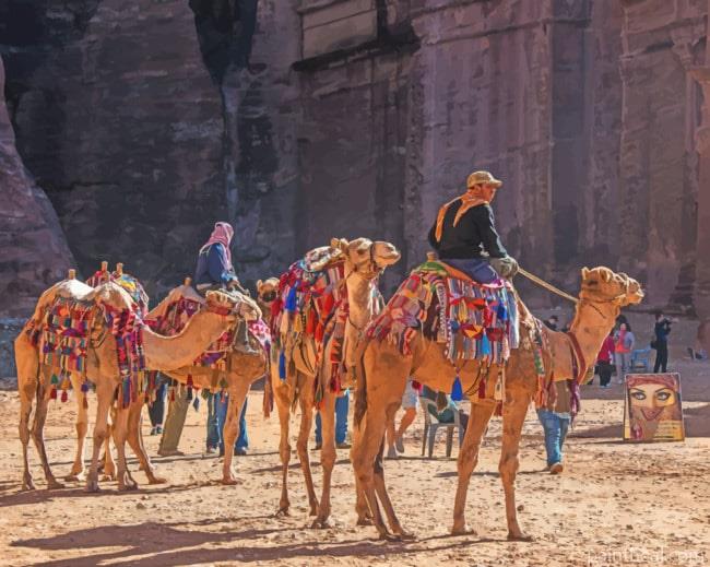 Jordan Petra Camels Painting By Numbers Kits