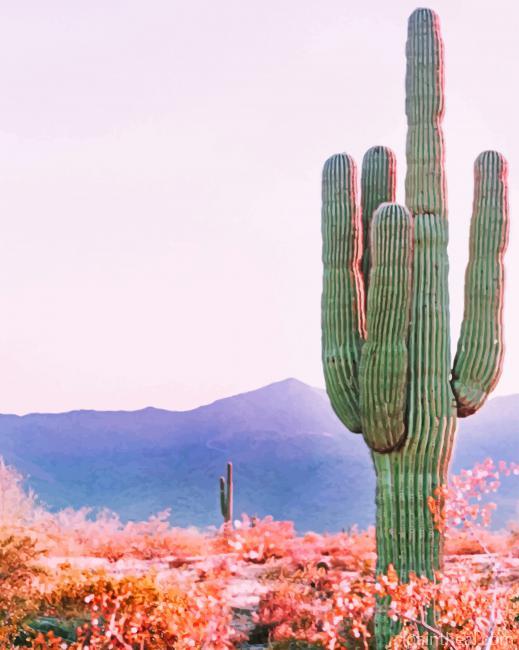 Cactus In Phoenix Arizona Painting By Numbers Kits