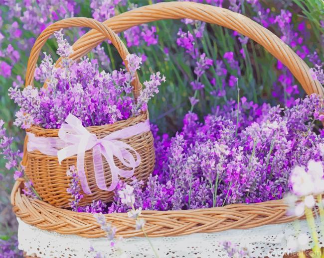 Basket Full Of Lavender Painting By Numbers Kits