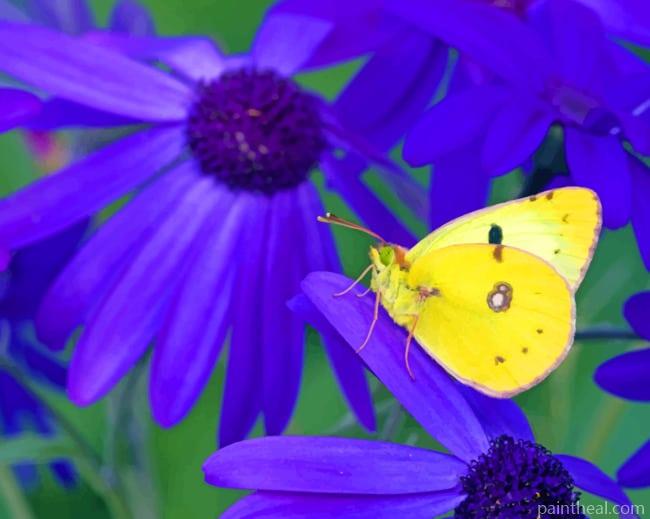 Yellow Butterfly On Purple Flowers Painting By Numbers Kits