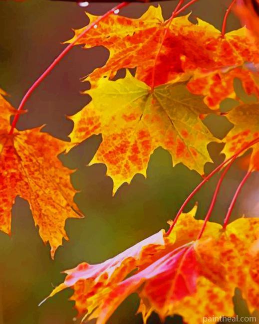Brown Leaves Painting By Numbers Kits